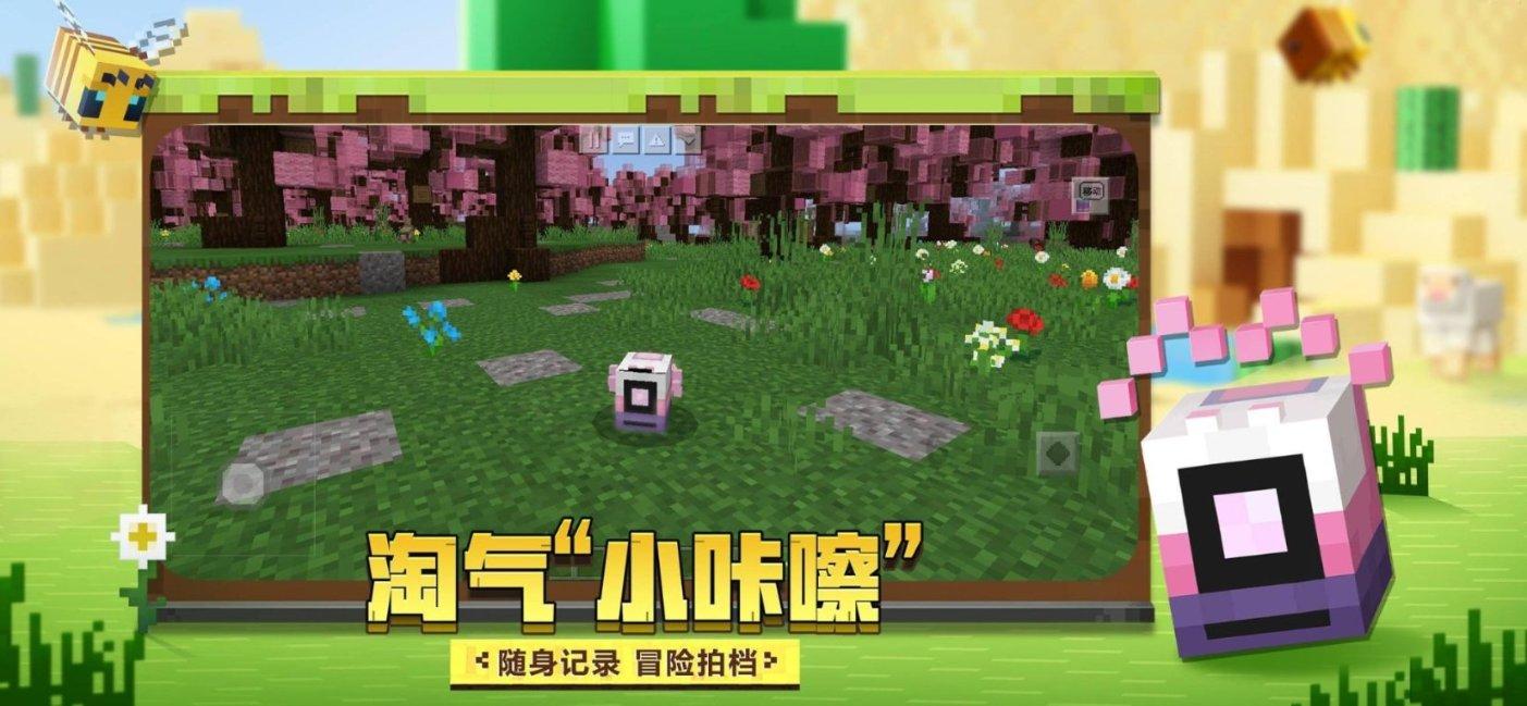 尽情观赏冬天的荷塘