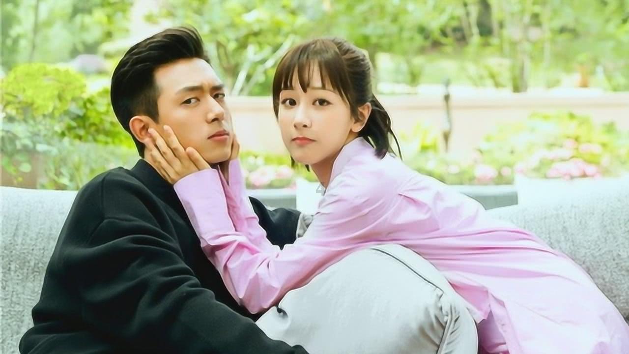 解救野生狐狸